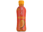 Mango Drink (250mL)